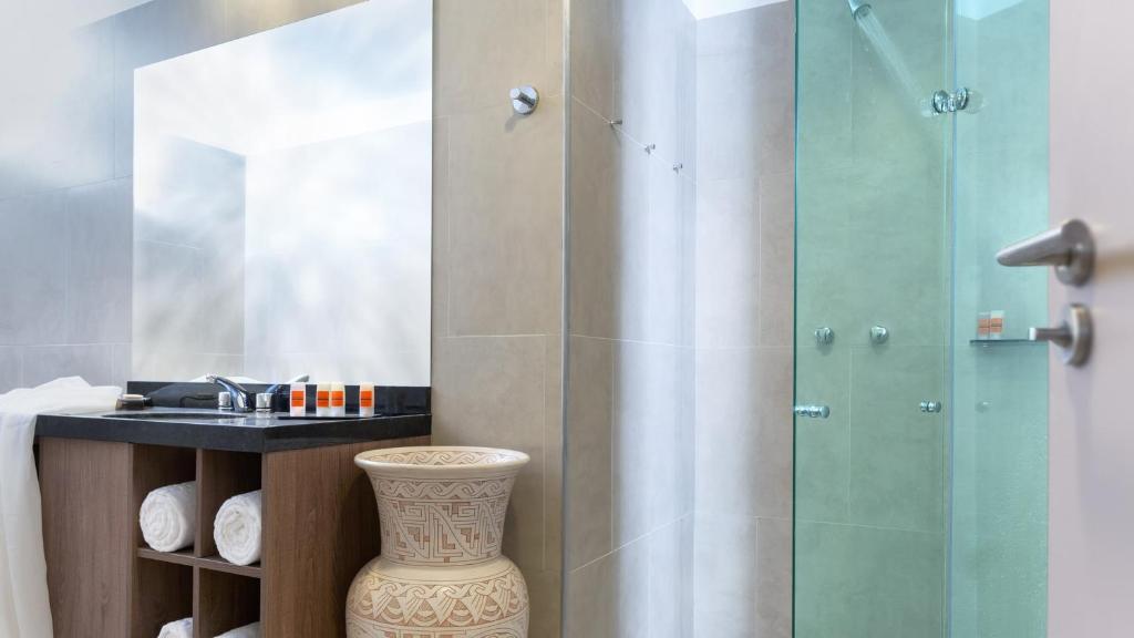 Standaardstudio-Begane-Grond-Badkamer